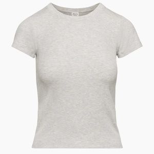 Aritzia “Wilfred Free” Go To Hip T Shirt (Colour Granite Blue)